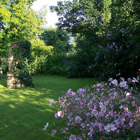 Badische Landoase Aparthotel Kehl Exterior foto