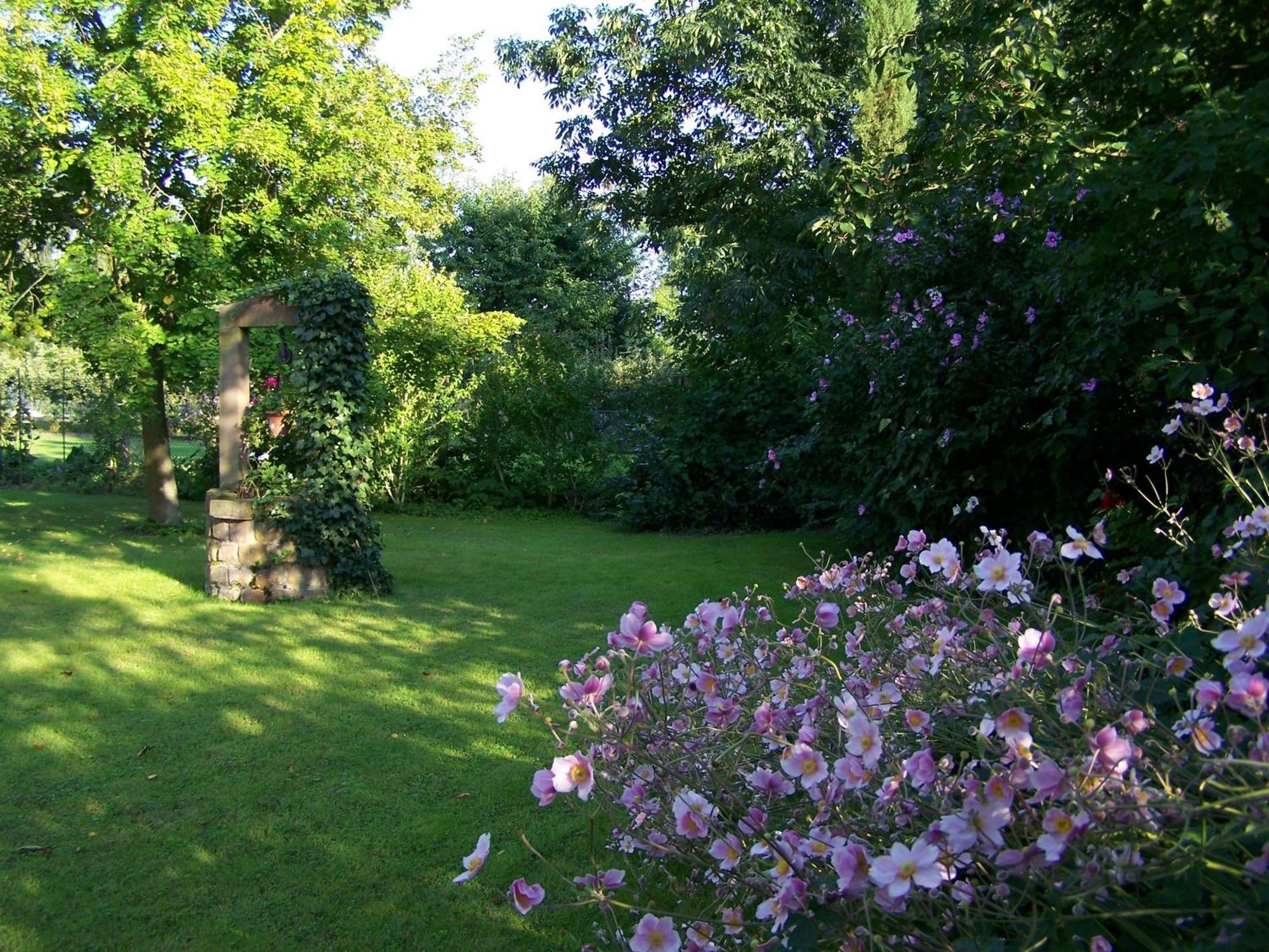 Badische Landoase Aparthotel Kehl Exterior foto